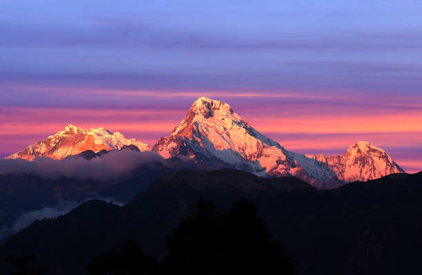 Panchase Trek - Annapurna View Trek Gallery Image 6 